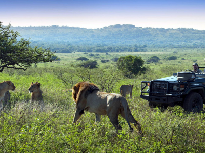 África
